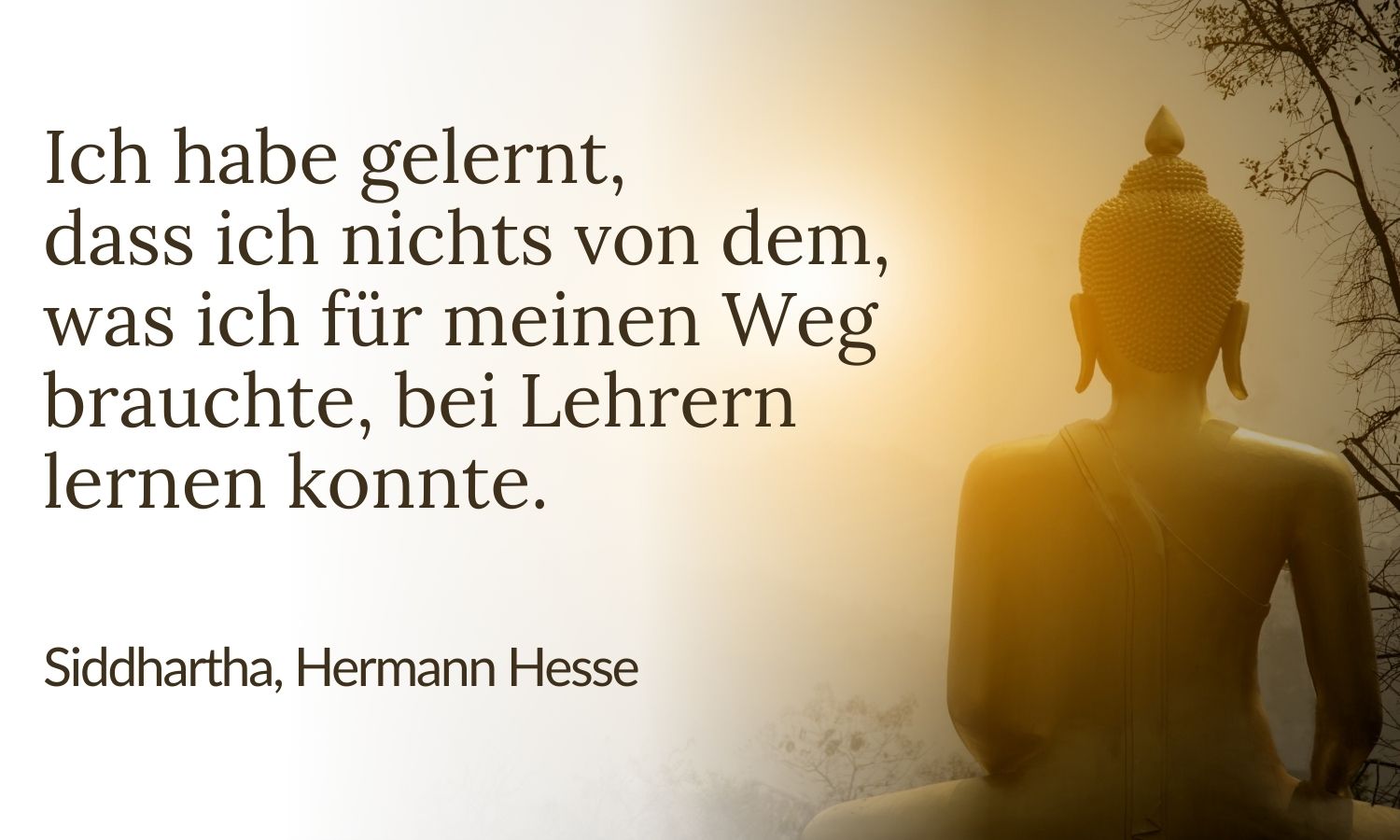 Zitat aus Siddhartha von Hermann Hesse