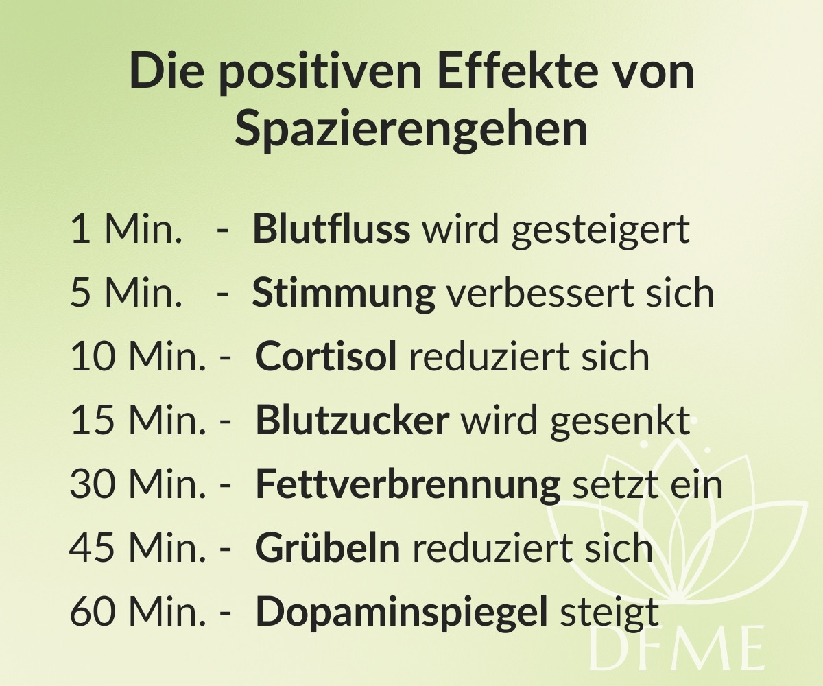 Infobox zu den positiven Effekten von Walk and Talk